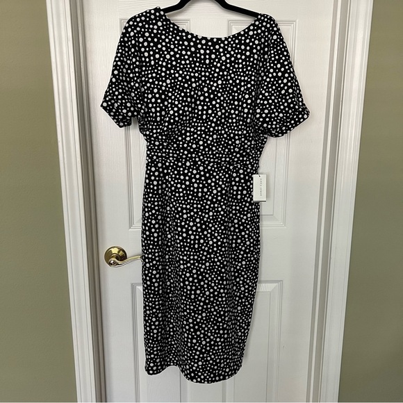 NWT Alexia Admor Black and White Polka Dot Dress - size SMALL - Picture 2 of 10